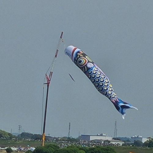 トラウトの釣果