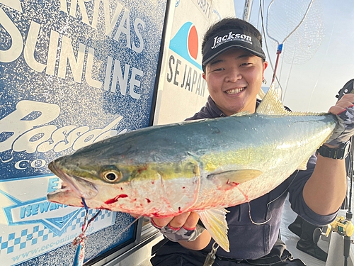 ブリの釣果