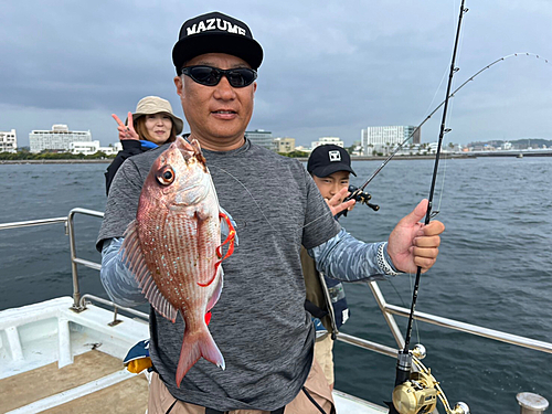 マダイの釣果