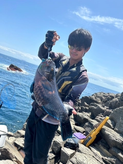 アオブダイの釣果