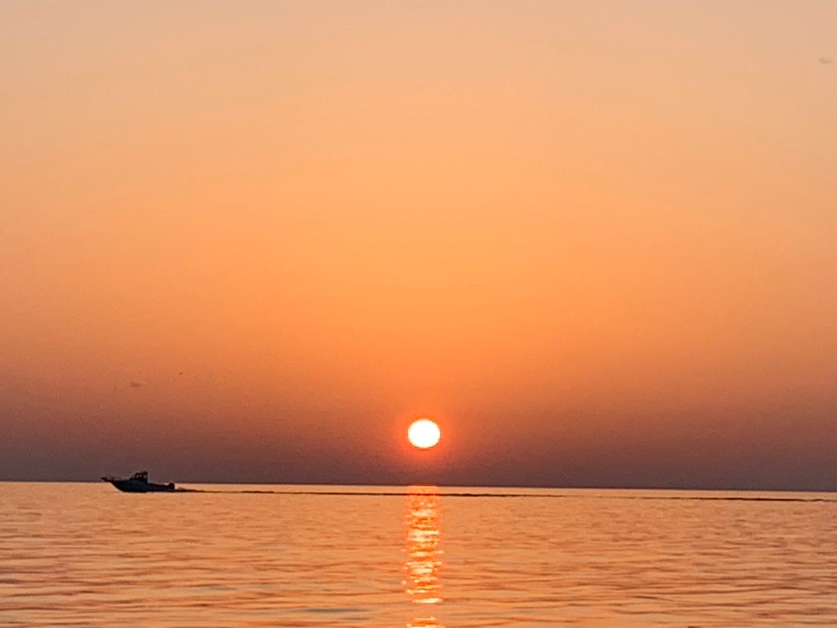 hironobu-nkgwさんの釣果 3枚目の画像