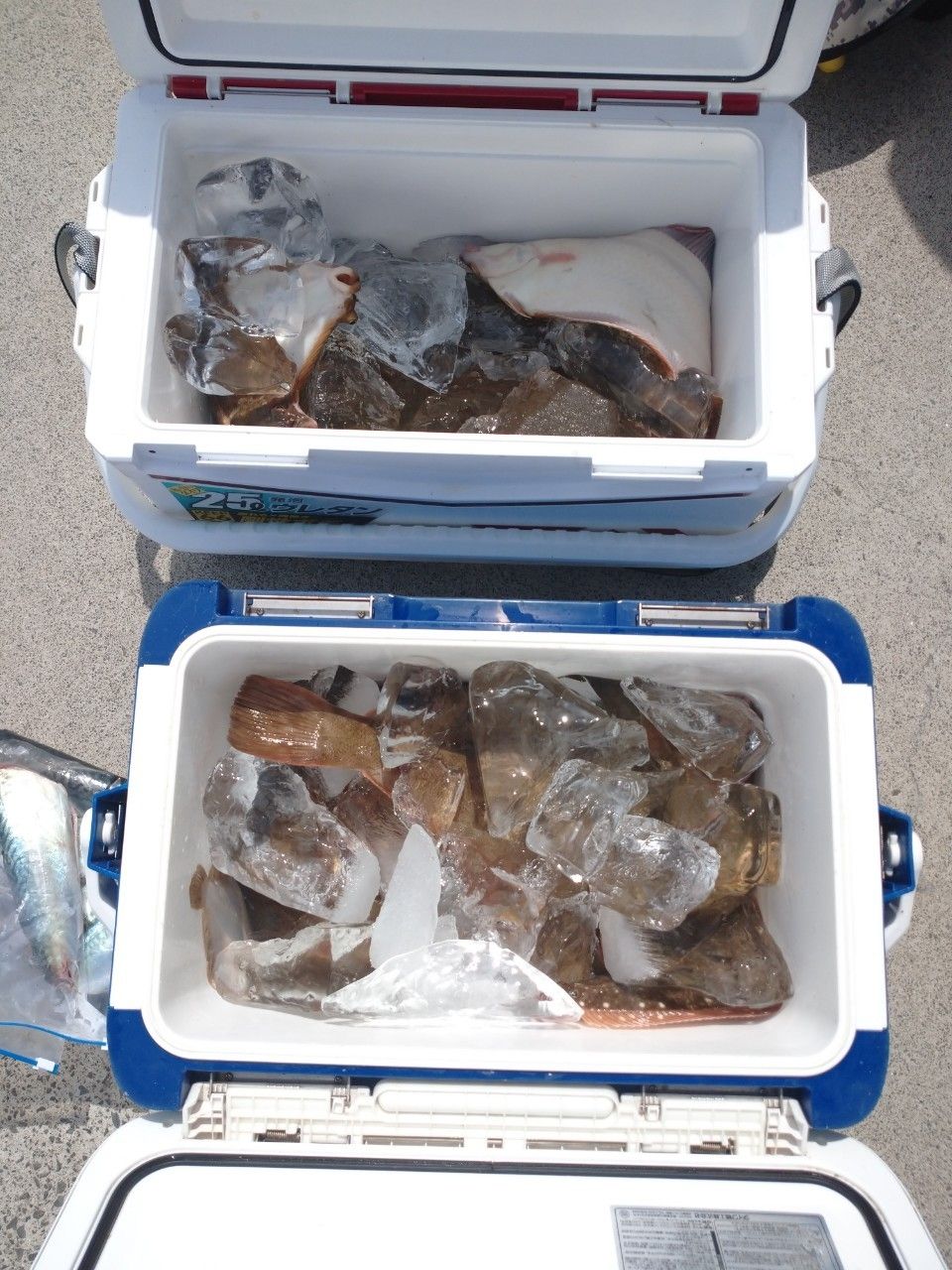 釣り好きユウスケさんの釣果 3枚目の画像