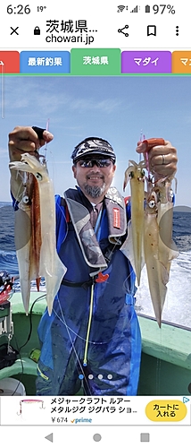 ヤリイカの釣果