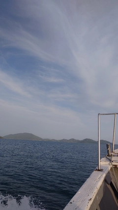 レンコダイの釣果