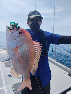 レンコダイの釣果