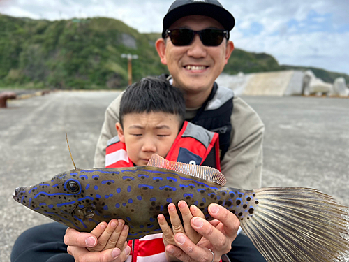 ソウシハギの釣果