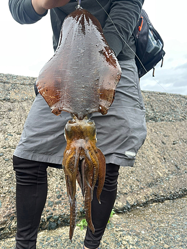 釣果