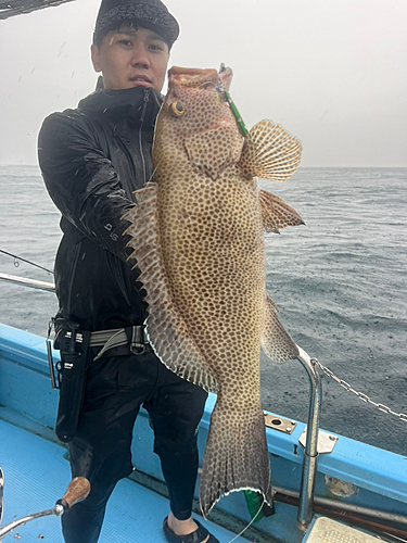 オオモンハタの釣果