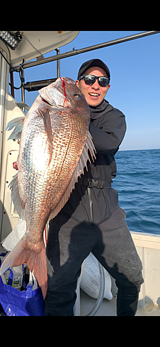 タイの釣果