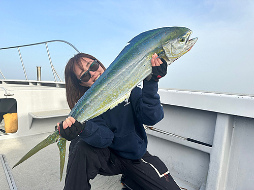 シイラの釣果