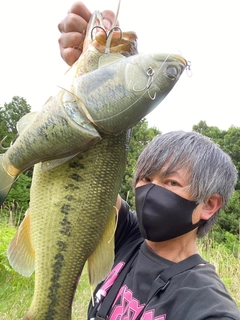 ブラックバスの釣果