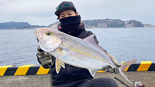 ヒレナガカンパチの釣果