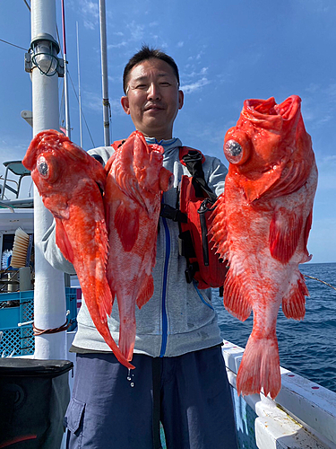 アコウダイの釣果