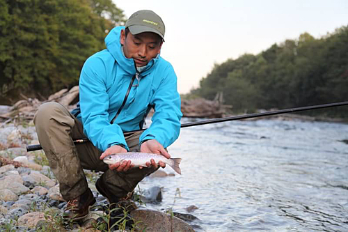 アメマスの釣果