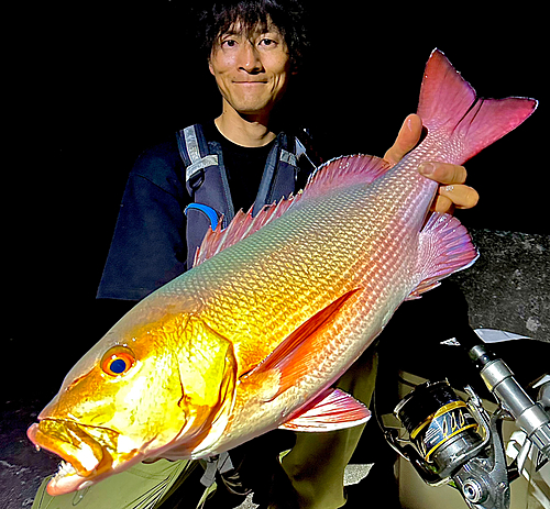 バラフエダイの釣果