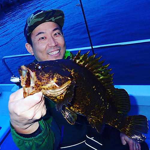 タケノコメバルの釣果