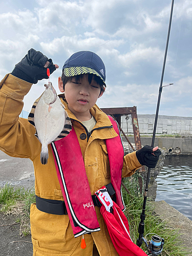 カワガレイの釣果