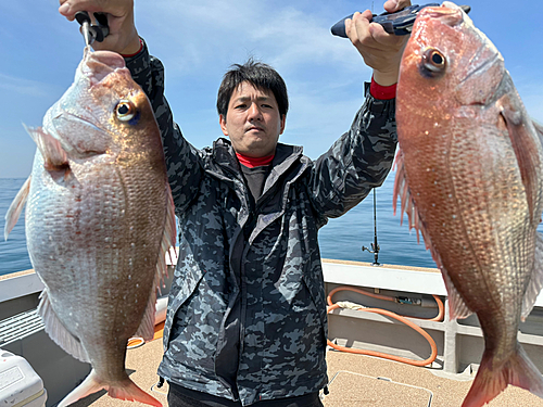 ヒラマサの釣果