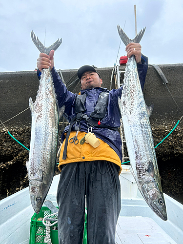 ワラサの釣果