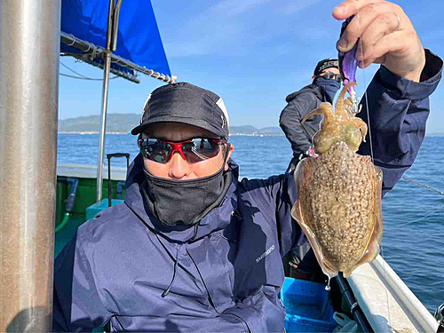 コウイカの釣果