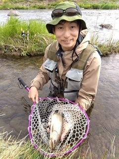 イワナの釣果