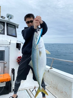 ブリの釣果