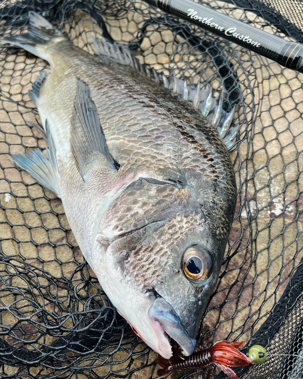 □□Abu Garcia アブガルシア ソルティースタイル ノーザンカスタム