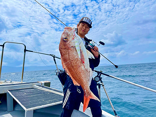 マダイの釣果