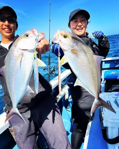 ショゴの釣果