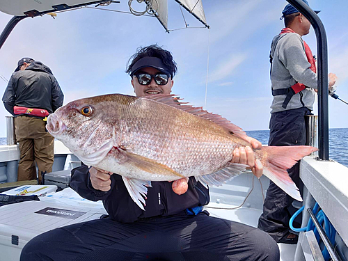 タイの釣果