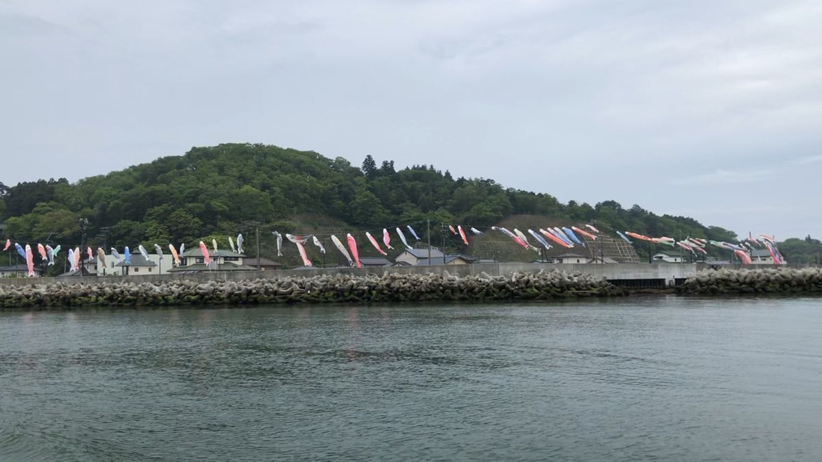 marimo_91さんの釣果 3枚目の画像