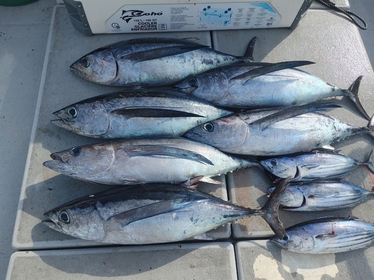 三重県ジギング船　絆さんの釣果 2枚目の画像