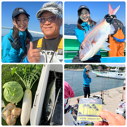 ゴマサバの釣果