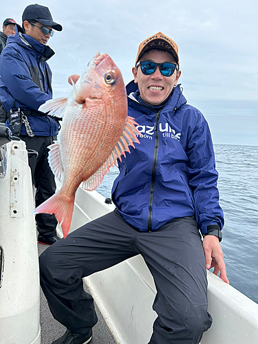 マダイの釣果