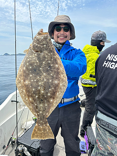 ヒラメの釣果