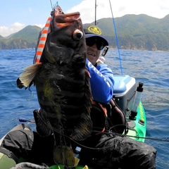 マハタモドキの釣果