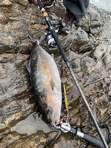 ネイリの釣果