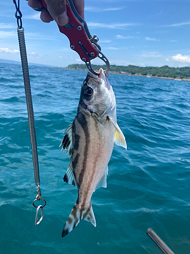 釣果