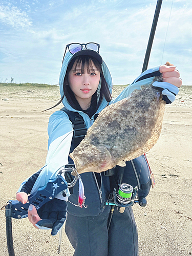 ヒラメの釣果