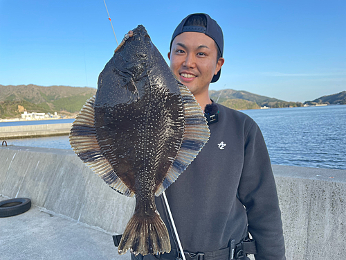 ヌマガレイの釣果