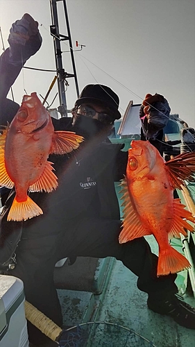 チカメキントキの釣果