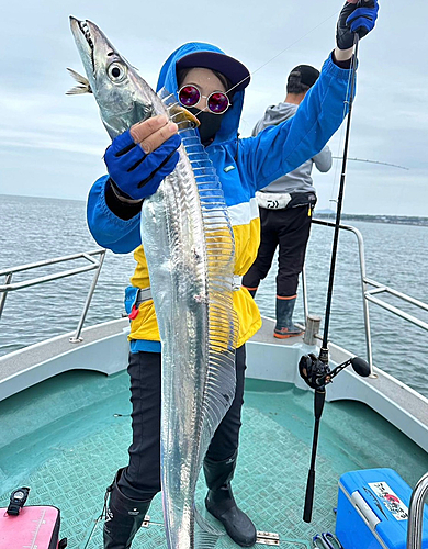 タチウオの釣果