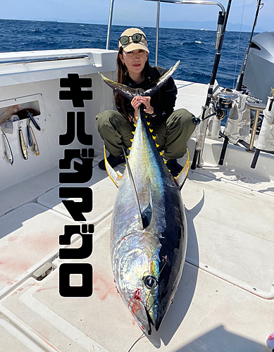 キハダマグロの釣果