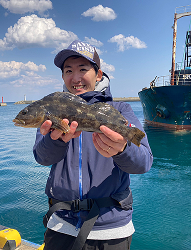 アイナメの釣果