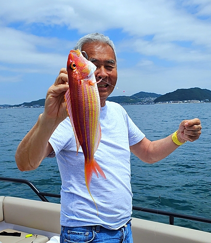 イトヨリダイの釣果