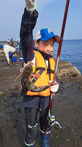 ホッケの釣果