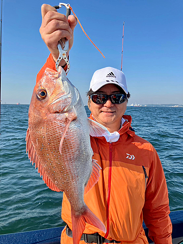 マダイの釣果