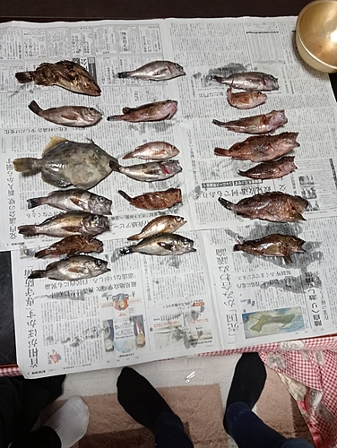 釣果