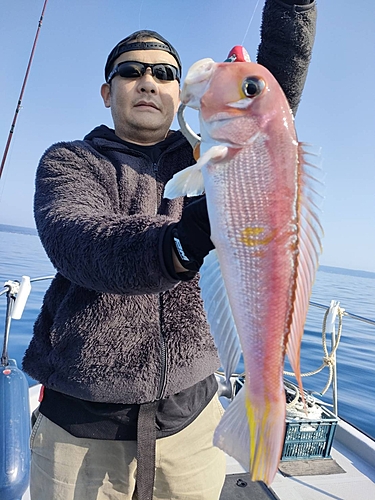 アマダイの釣果