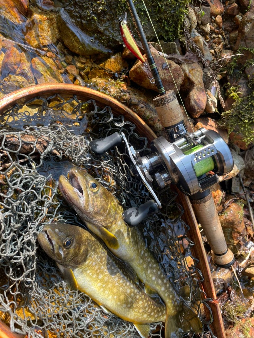 SMITH ビースティッキー ヒロ本山モデル BST-EXS43UL/Cの最安値 SMITH ビースティッキー ヒロ本山モデル BST-EXS43UL/Cの最安値